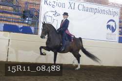 15R11_08488 thumbnail