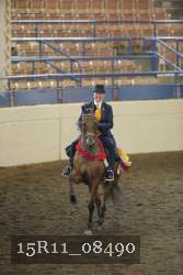 15R11_08490 thumbnail