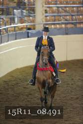 15R11_08491 thumbnail