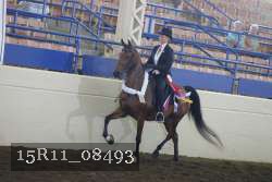 15R11_08493 thumbnail