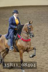 15R11_08494 thumbnail