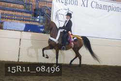 15R11_08496 thumbnail