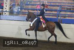 15R11_08497 thumbnail