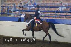 15R11_08498 thumbnail