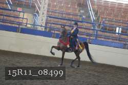 15R11_08499 thumbnail
