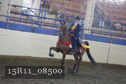 15R11_08500 thumbnail