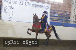 15R11_08501 thumbnail