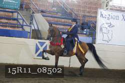 15R11_08502 thumbnail