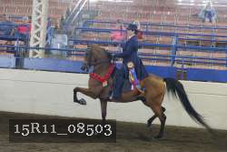 15R11_08503 thumbnail