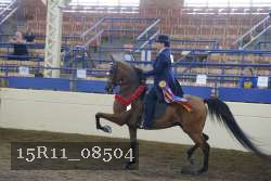 15R11_08504 thumbnail