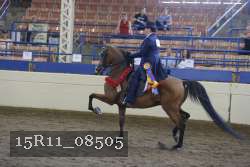 15R11_08505 thumbnail