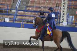 15R11_08506 thumbnail