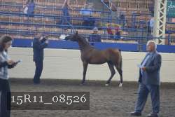 15R11_08526 thumbnail