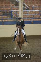 15R11_08674 thumbnail