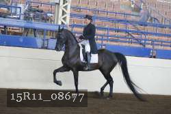 15R11_08677 thumbnail