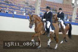 15R11_08678 thumbnail