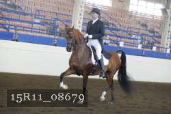 15R11_08679 thumbnail