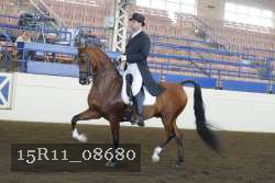 15R11_08680 thumbnail