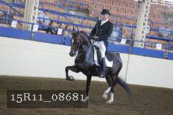 15R11_08681 thumbnail