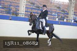 15R11_08682 thumbnail