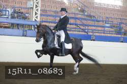 15R11_08683 thumbnail