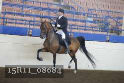 15R11_08684 thumbnail