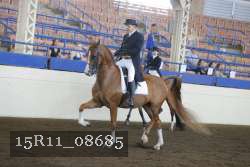 15R11_08685 thumbnail