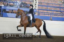 15R11_08686 thumbnail