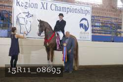 15R11_08695 thumbnail