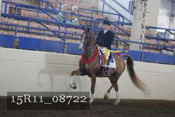 15R11_08722 thumbnail