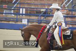 15R11_08917 thumbnail