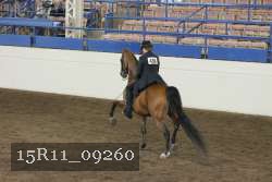 15R11_09260 thumbnail