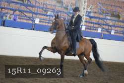 15R11_09263 thumbnail