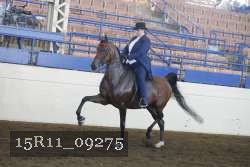 15R11_09275 thumbnail