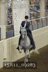 15R11_09283 thumbnail