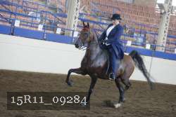 15R11_09284 thumbnail