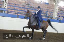 15R11_09285 thumbnail