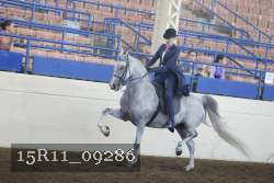 15R11_09286 thumbnail