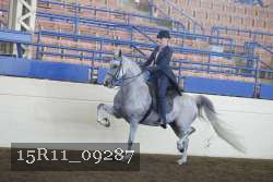 15R11_09287 thumbnail