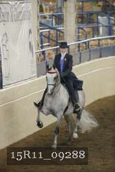 15R11_09288 thumbnail