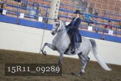 15R11_09289 thumbnail
