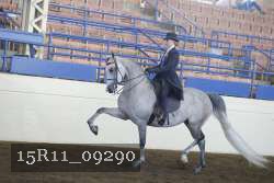 15R11_09290 thumbnail