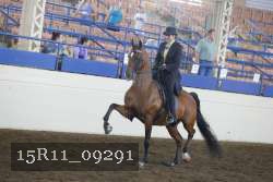 15R11_09291 thumbnail