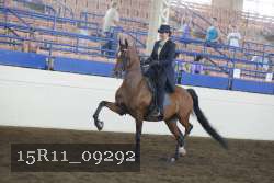 15R11_09292 thumbnail