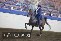 15R11_09293 thumbnail