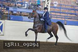 15R11_09294 thumbnail