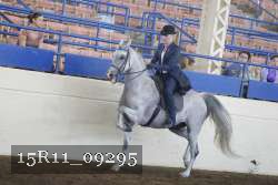 15R11_09295 thumbnail