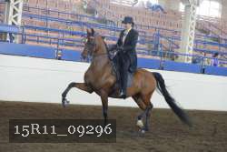 15R11_09296 thumbnail