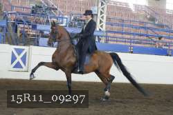 15R11_09297 thumbnail