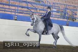 15R11_09298 thumbnail